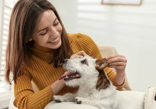 The Cost of Pet Care Services in Alexandria, Virginia: An Expert's Perspective